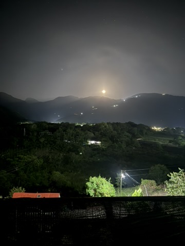 Galería