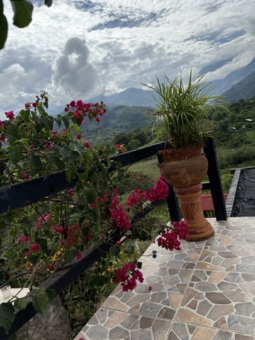 Galería